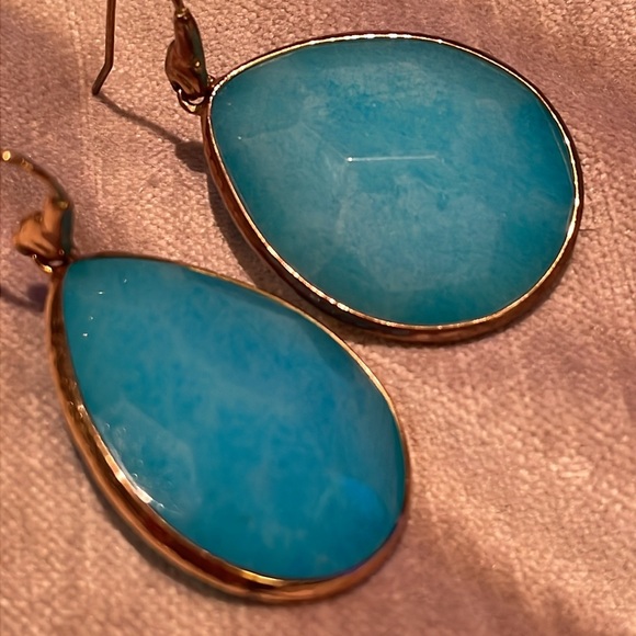 Fossil Aqua Chalcedony Gemstone Earrings - Picture 6 of 7